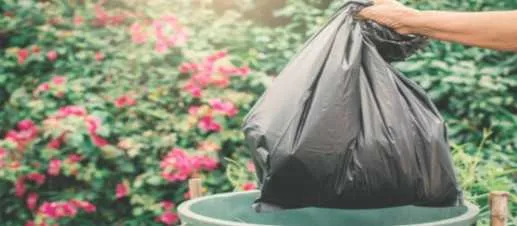 Imagem ilustrativa da imagem Empresa brasileira produz primeiro saco para lixo com zero carbono