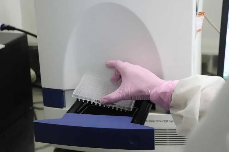 Imagem ilustrativa da imagem Firjan SESI lança programa de teste molecular de coronavírus para trabalhadores da indústria
