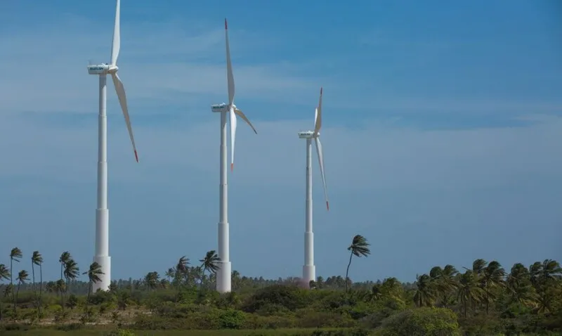 Imagem ilustrativa da imagem Estudo aponta que retomada econômica passa pela questão ambiental