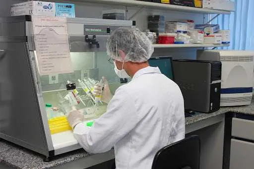 Pesquisadores da USP alertam que número de mortos e infectados pode aumentar significativamente em 20 dias