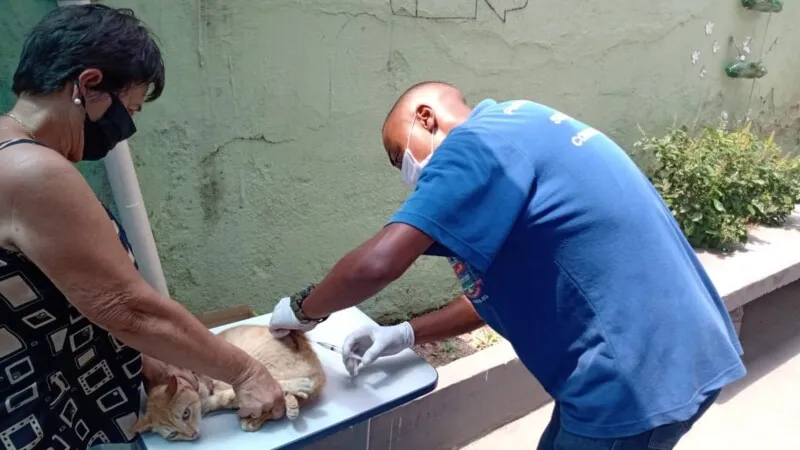Na primeira etapa, mais de 65 mil animais foram imunizados