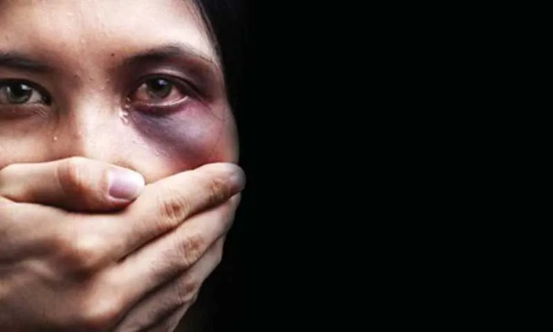 Imagem ilustrativa da imagem Violência doméstica: polícia poderá suspender posse de arma de agressores