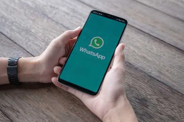 Imagem ilustrativa da imagem WhatsApp deixa de mostrar 'digitando' e 'online' e usuários relatam outros problemas
