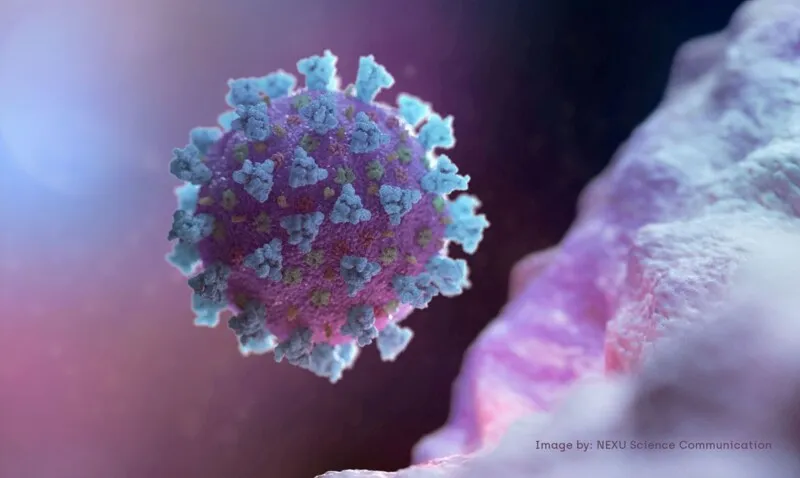 Nova variante do coronavírus, mais contagiosa, surgiu no Reino Unido