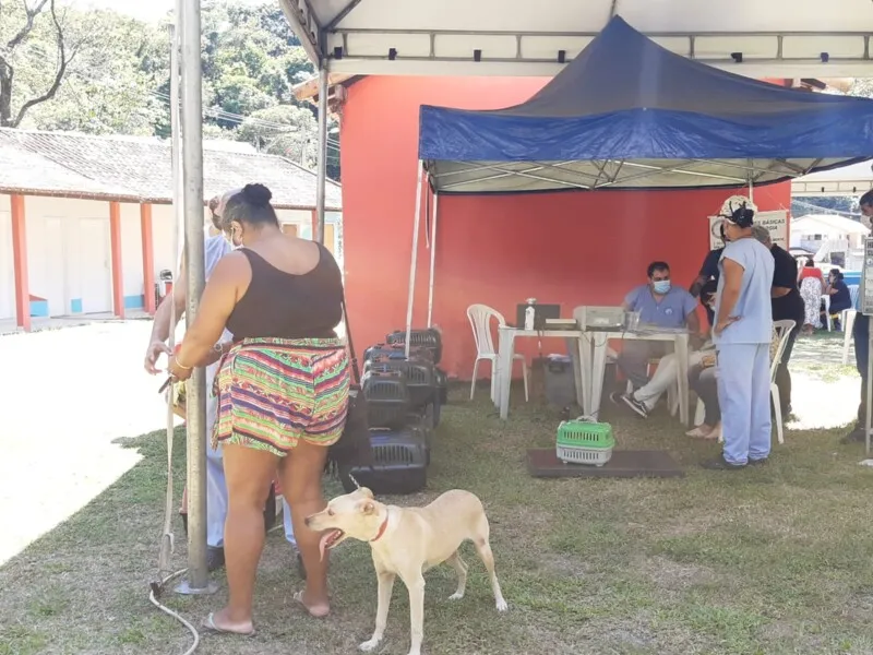 Os cães e gatos ficam menos suscetíveis a várias doenças