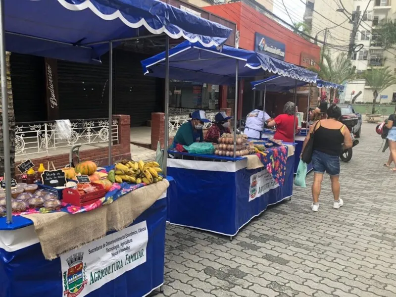 Imagem ilustrativa da imagem Agricultura familiar vai fornecer produtos para escolas municipais em SG